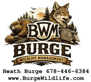 BWM Add