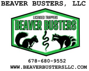 Beaver Buster