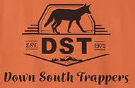 DST logo add